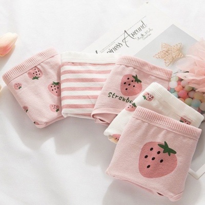 UNQ205 COTTON PANTIES