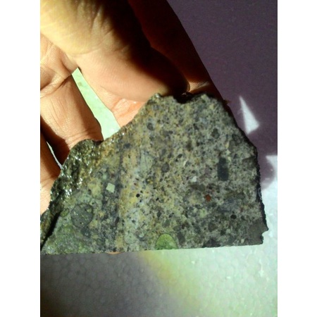 Batu Cincin LANGKA  KALIMAYA KORAL ORIGINAL BANTEN PGS1232