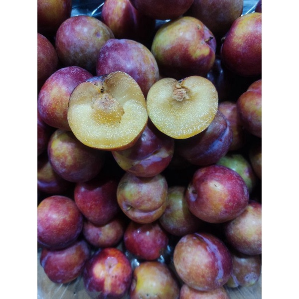 

Buah plum import premium (1000g)
