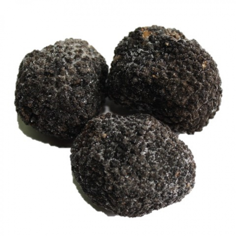 

Fresh Frozen Whole Black Summer Truffle Jamur Truffle Hitam Italy