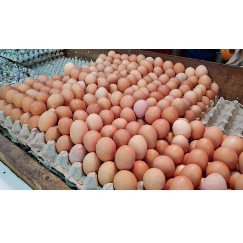 

Bagus!!!!!! Telor Ayam 500g