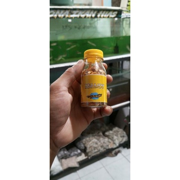 

udang pickman warna blue red yellow