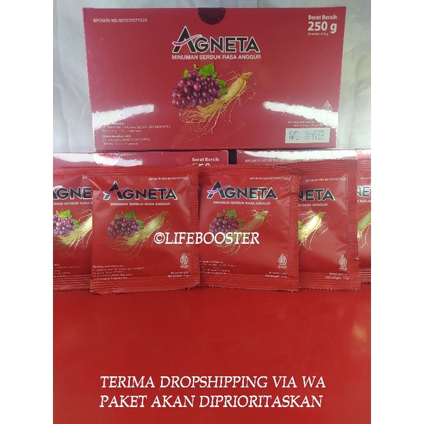 Agneta Redwine - Box Baru (EXP 2025)