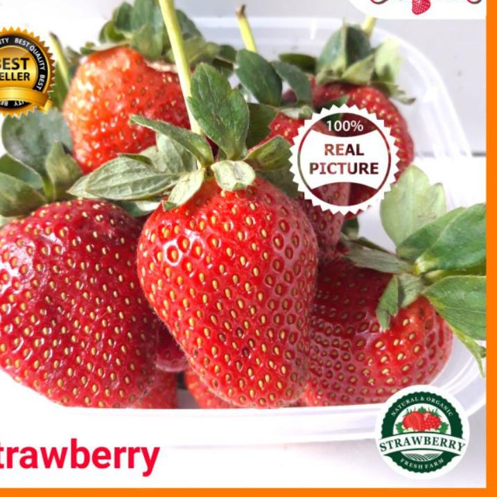 

Original Buah Strawberry fresh 500gr buah segar strawberry stroberi strobery Grade A berkualitas !!