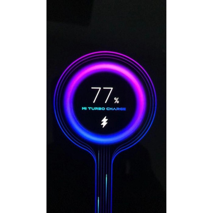 Charger ORiginal 100% Xiaomi 27W Mi9 Fast Charging Turbo Charge