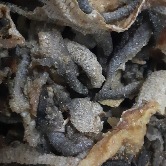 

Kerupuk Kulit Ikan Patin Mentah 1 Kg - Rasa Original