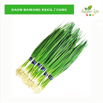 

Daun Bawang Kecil / Cung 100 Gram Fresh Grade A Scallions Spring Onion
