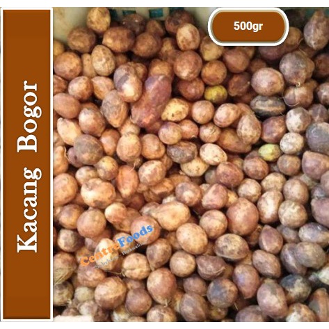

Kacang Bogor - Mentah | 500gr [ Harga Per 0,5 Kg ]