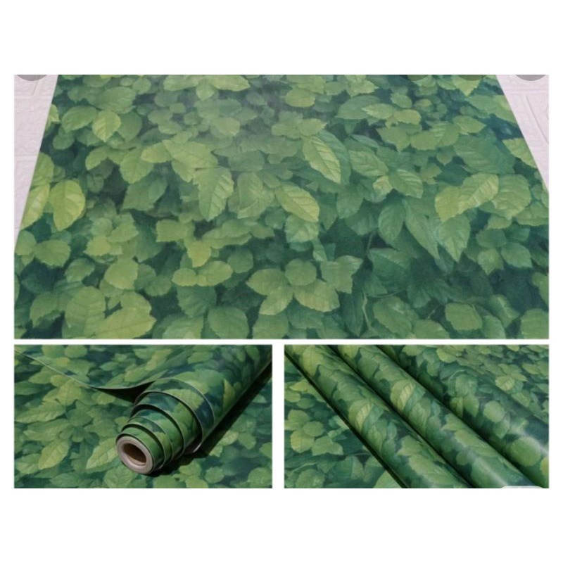 wallpaper dinding hijau