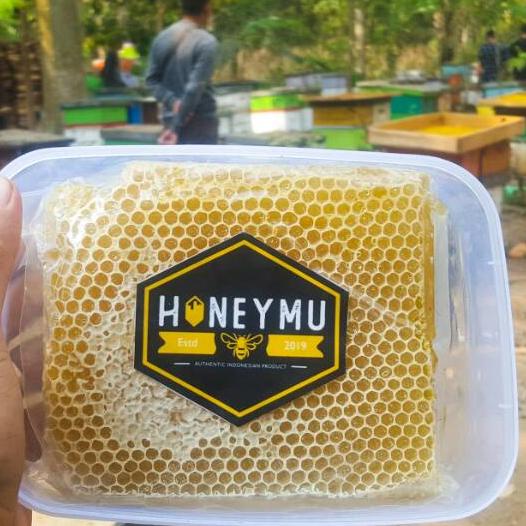 

☈ [500gr] COD Sarang Melifera ➲