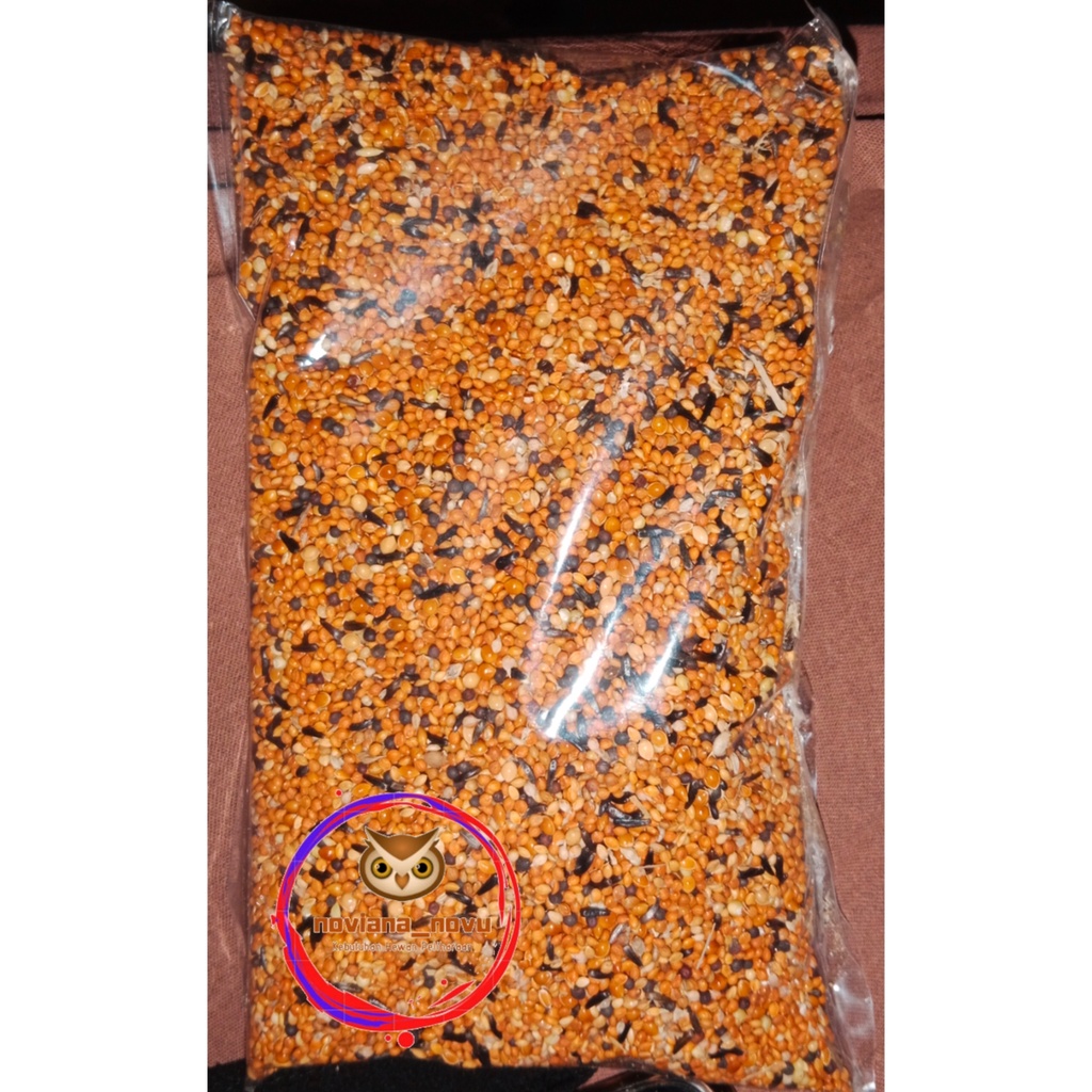 PAKAN BURUNG BRANJANGAN BLACKTROATH FINCH PARVA STAMINA MAKSIMAL PARKIT