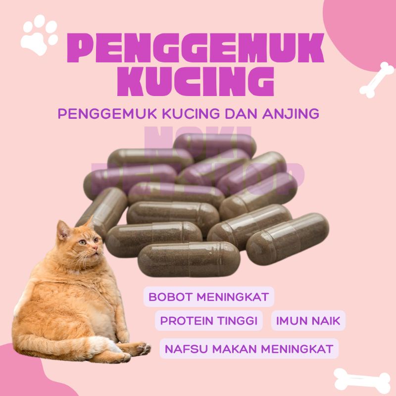 SUPLEMEN PENGGEMUK KUCING PER BUTIR | OBAT PENGGEMUK KUCING OBAT PENAMBAH NAFSU MAKAN KUCING PELEBAT