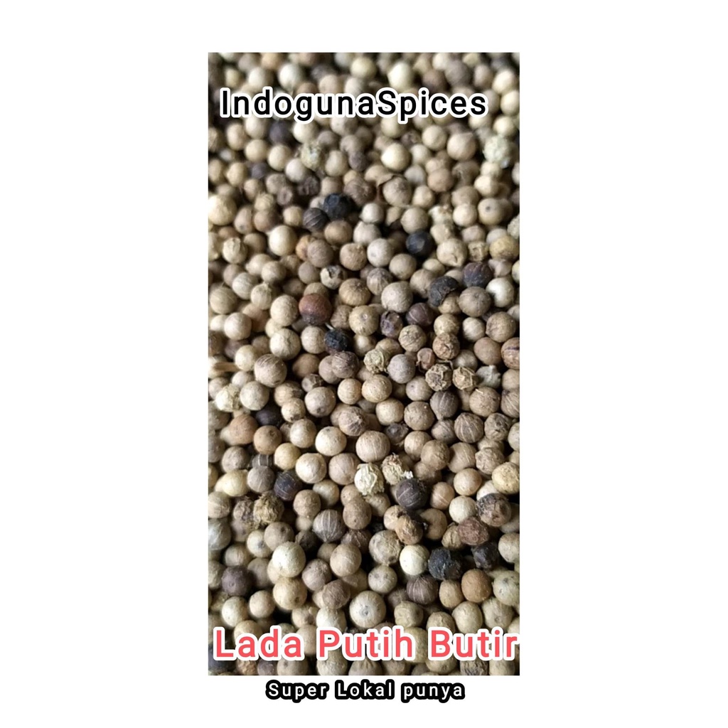 

Lada putih butir / Merica putih / White pepper whole 1KG