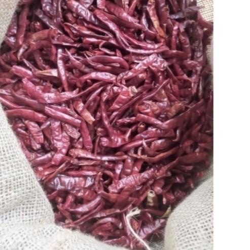 

☑ Cabe Rawit Teja Merah Kering 1 kg kilo IMPORT Dijamin Pedas Dan Fresh ✰