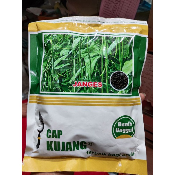 

kacang panjang Janges