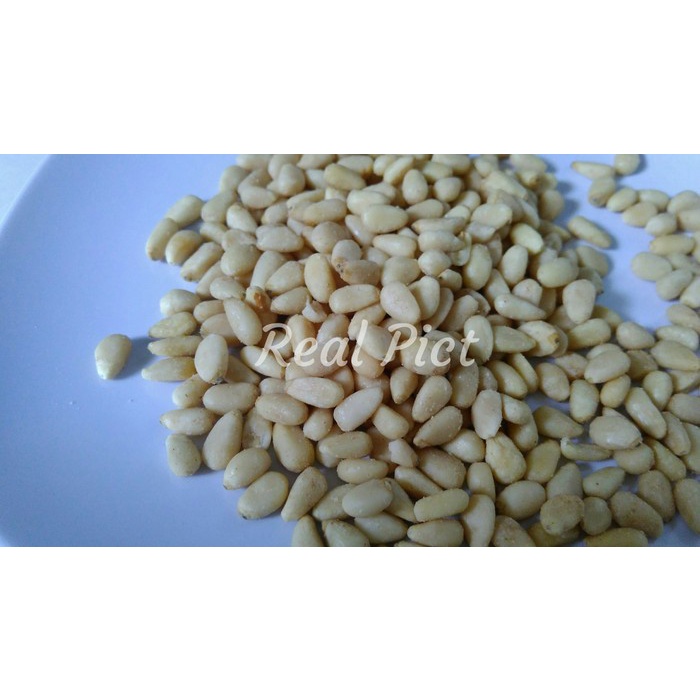 

Pine Nut / Kacang Pine Nut - 50gram