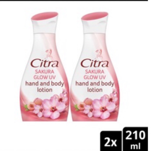 Handbody Citra Sakura 210ml isi 2