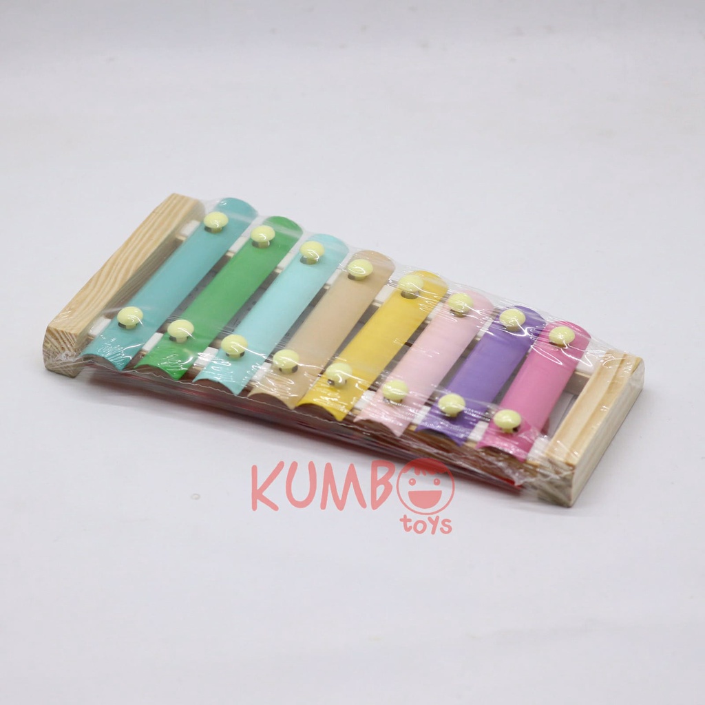 Mainan Edukasi Anak Alat Musik Ketukan Kayu Xylophone