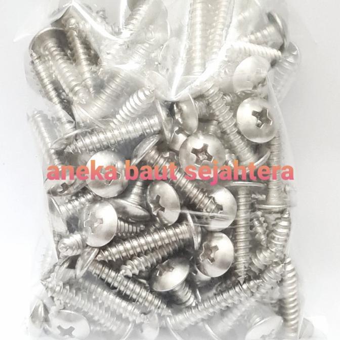 Sekrup TS 8x3/4 Stainless Steel