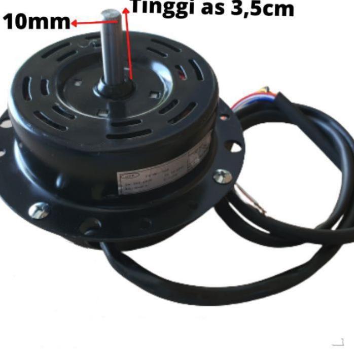 ➽ Dinamo kipas regency ◘