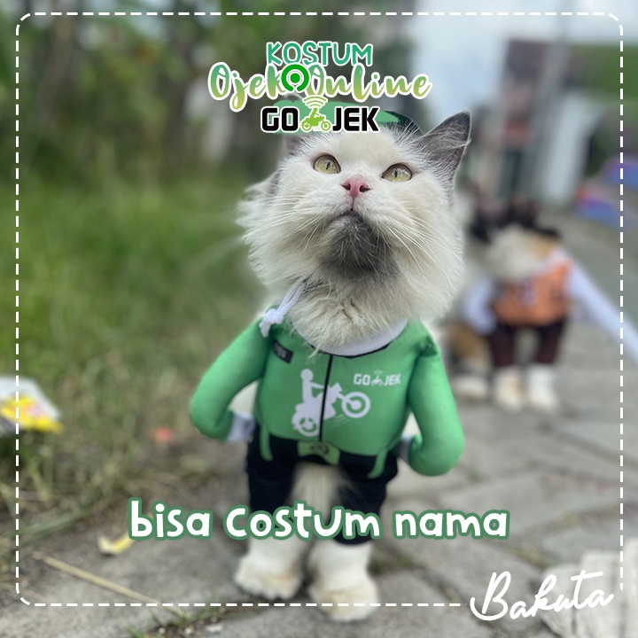 Kostum Ojek Online untuk kucing dan anjing Baju Berdiri Kurir Gojek / Kostum kucing Murah / Baju Kucing Tangerang size S-XL