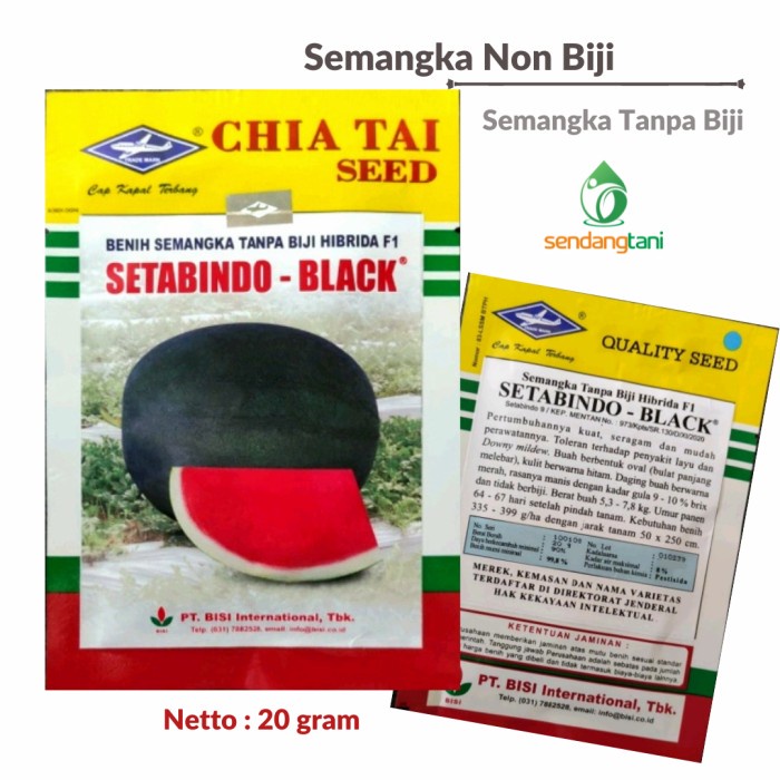 Semangka Tanpa Biji SETABINDO BLACK F1 Benih Semangka Merah Non Biji
