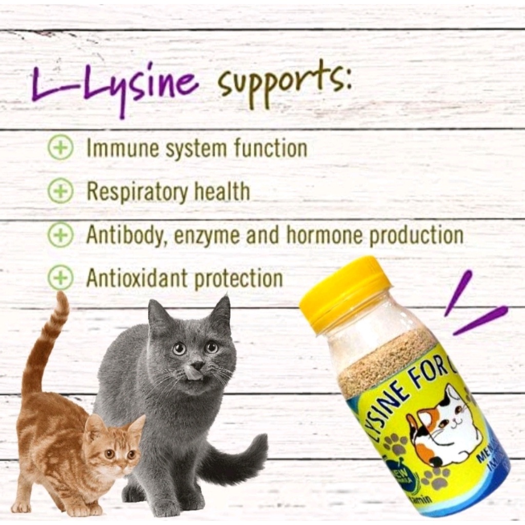 VITAMIN PENGGEMUK DAN BULU KUCING LYSINE,PENAMBAH NAFSU MAKAN