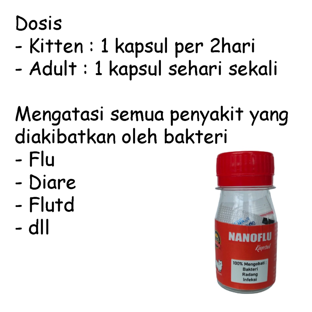 NANO FLU obat kucing kapsul paten untuk flu diare flutd anabul