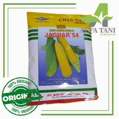 Benih Jagung Manis Hibrida Jaguar 54 250 gram / BISI