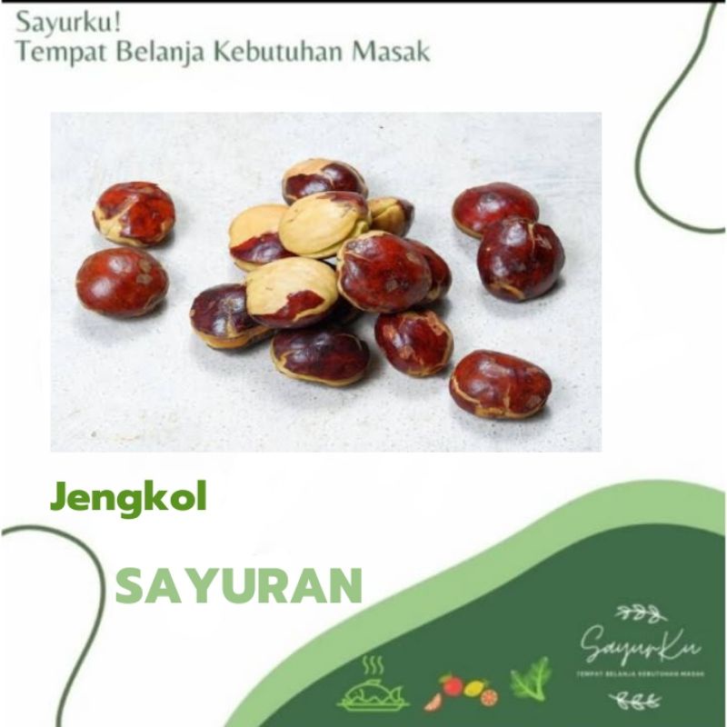 

jengkol tua pilihan
