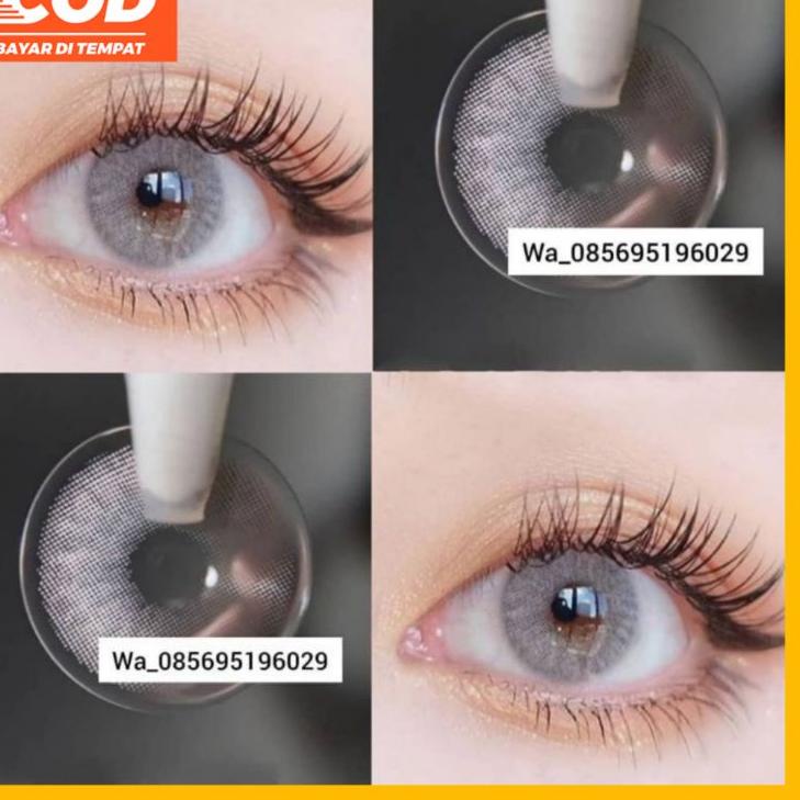 ✰ SOFTLENS SPATAX SOFTLENS BROWN SOFTLENS GREY GRAY NATURAL ✧