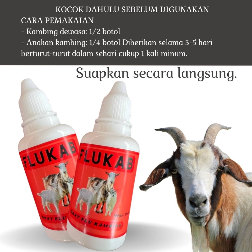 Obat Batuk Kambing - Obat Pilek Kambing - Obat Pneumonia Ternak Hewan FEZONE