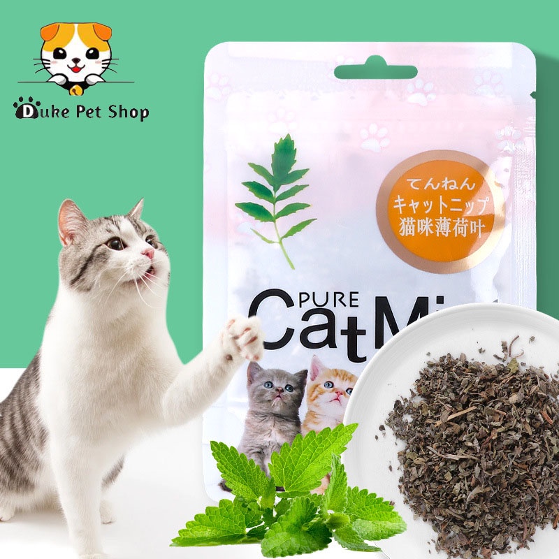 Catnip catmint kucing snack mint powder snack hewan peliharaan kucing pelengkapan