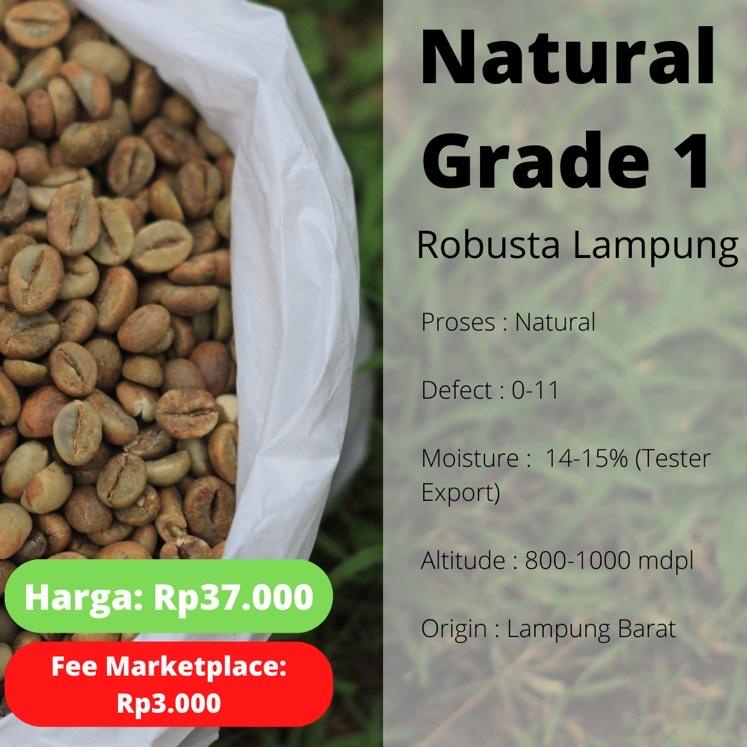 

Masih fresh Green Bean Robusta Lampung Petik Merah Grade 1 - Natural Process