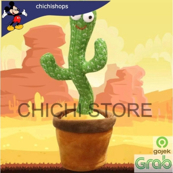 

Dijual ORIGINAL 100 / Magic Kaktus Peniru Suara / Kaktus Bernyayi CC Murah