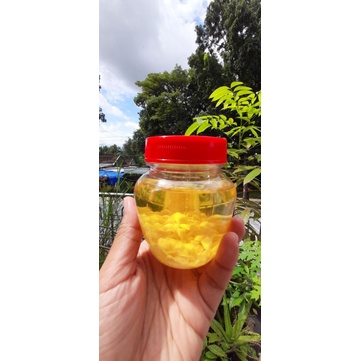 BACEMAN BAWANG PUTIH TUNGGAL 165 GRAM