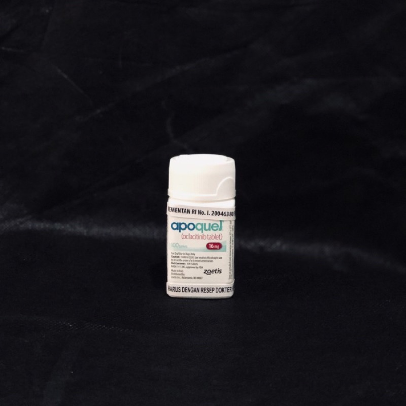 APOQUEL DOG 16 MG (10 TABLET)