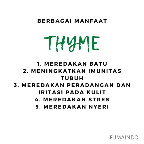 Thyme Leaves 50gr / Dried Thyme Leaves Dry Daun Timi Flakes Kering 50gr / Daun kering / Rempah / Bumbu dapur