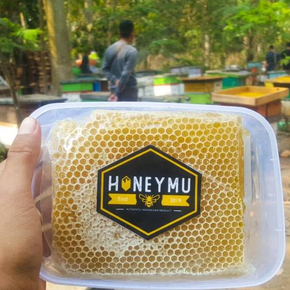 

✺ [500gr] COD Sarang Melifera ☄