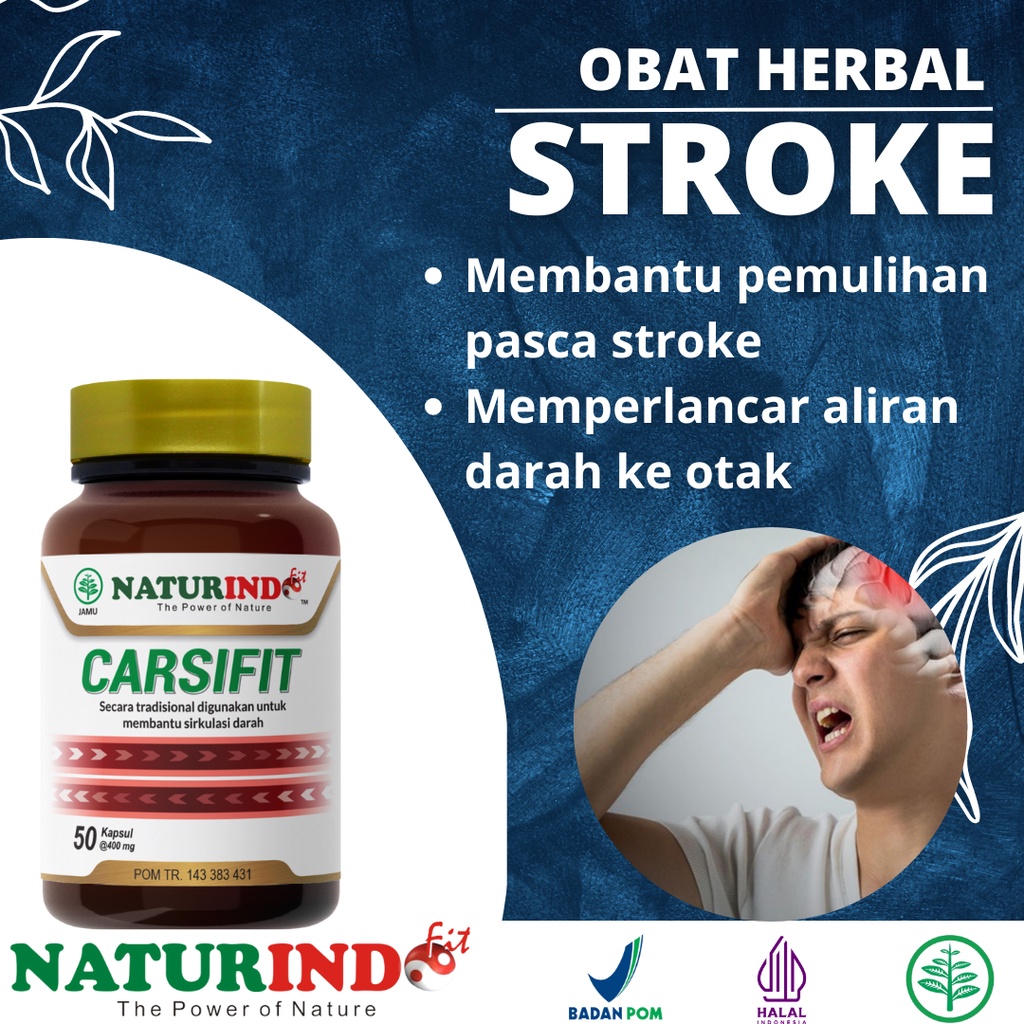 Obat Stroke Ringan Ampuh Obat Stroke Sebelah Obat Stroke Herbal Obat Stroke Berat