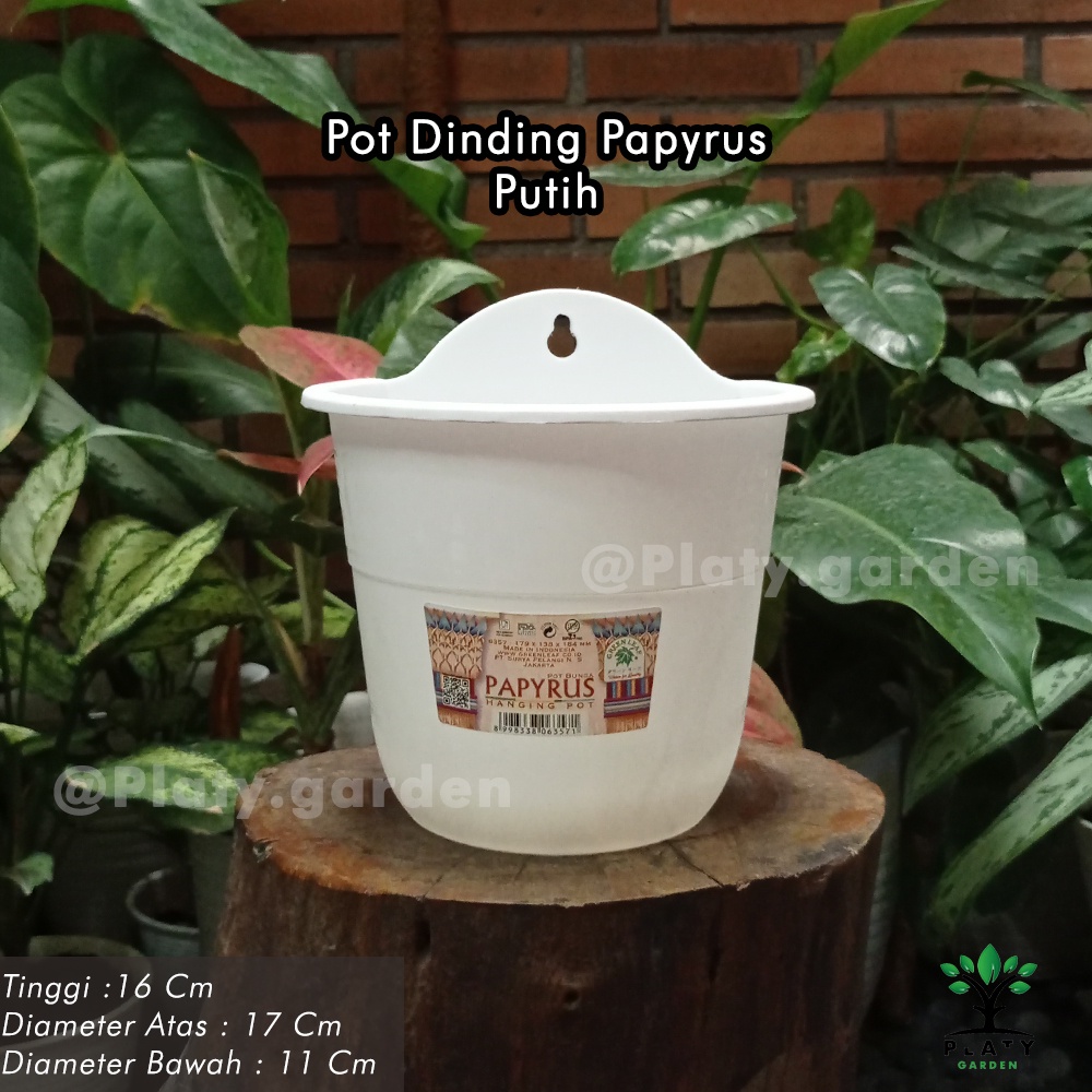 Pot Dinding Papyrus 6357 Putih