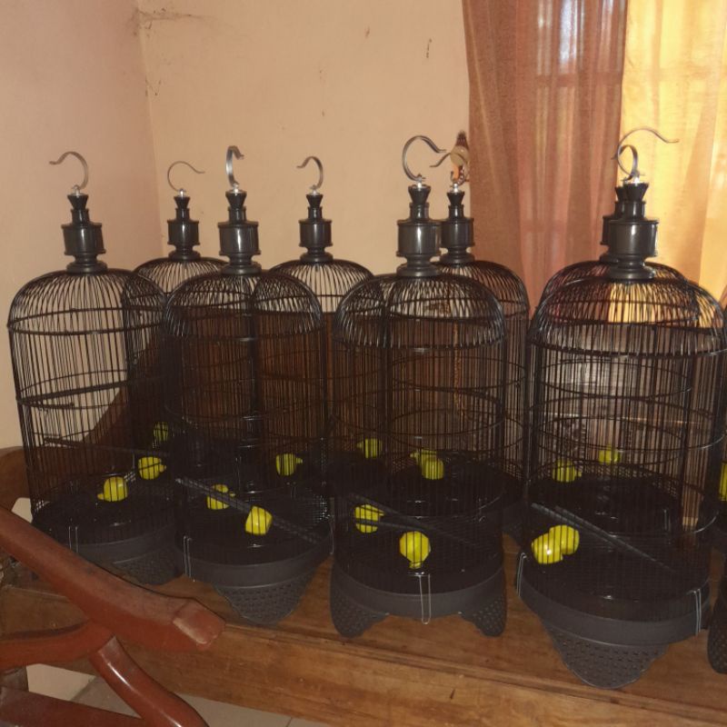 Sangkar Besi kapsul buat burung no 1