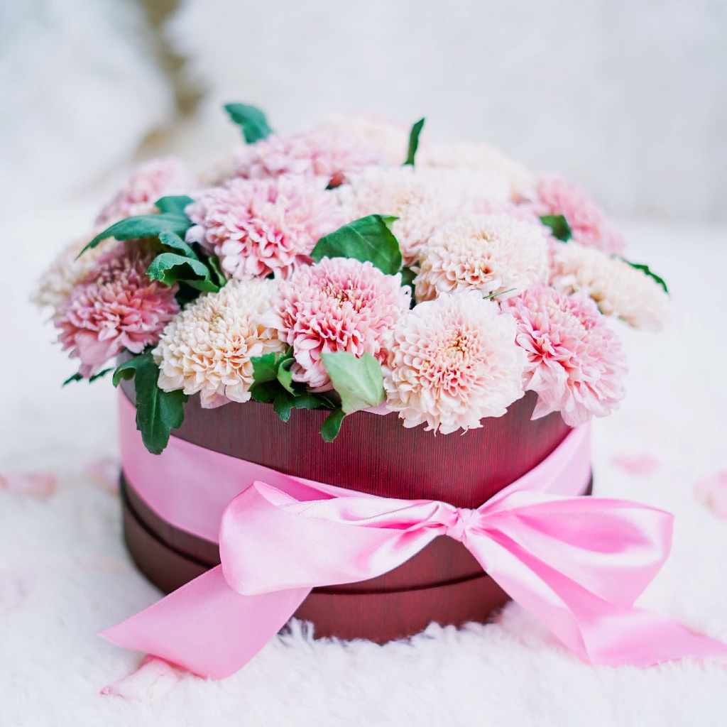 

TOKO ANQA-Flower Bloom Gift Round Box Kotak model bundar S dia. 20cm tinggi 10cm