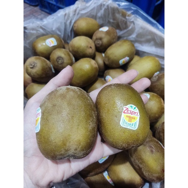 

kiwi gold zespri (1kg)