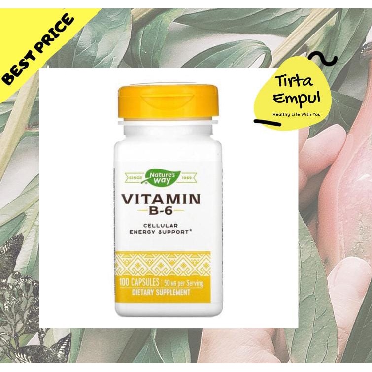 Vitamin B6 50 mg Nature's Way Vit B6 Natures Way 100 Capsules USA