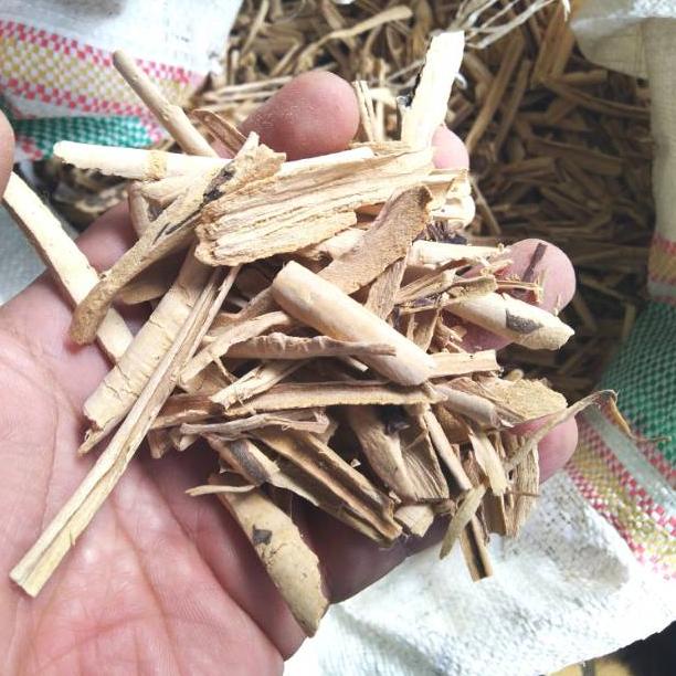 

Produk Pulosari Kering 500gr / Kulit Kayu Pulosari Kering SEM