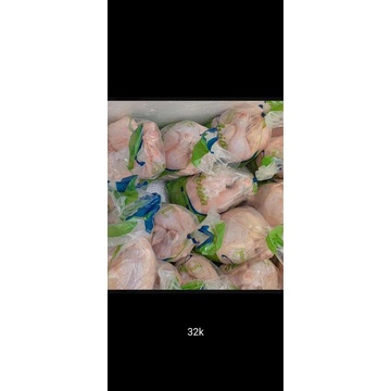 

jual ayam boiler murah