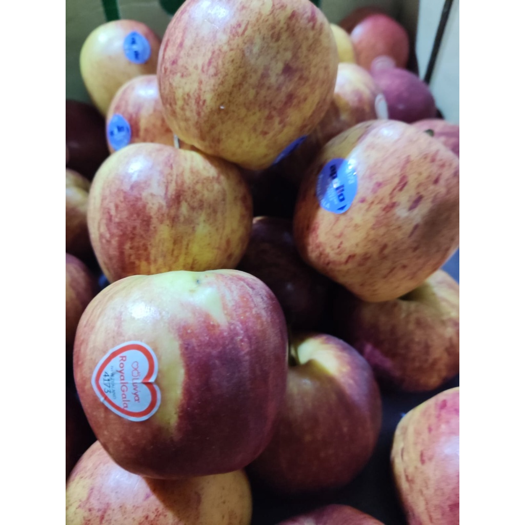 

Apel Royal Gala Buah Segar Bandung