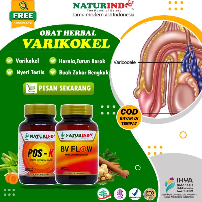 OBAT VARIKOKEL BUAH ZAKAR BENGKAK NYERI TESTIS BENGKAK VERIKOKEL MANDUL AMPUH 100% POS K BV FLOW NAT