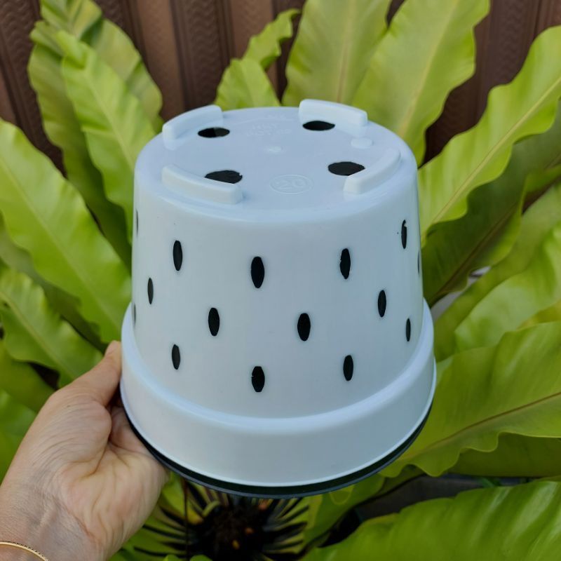 POT ANGGREK NKT BASIC 20 (18 cm) LUBANG BANYAK